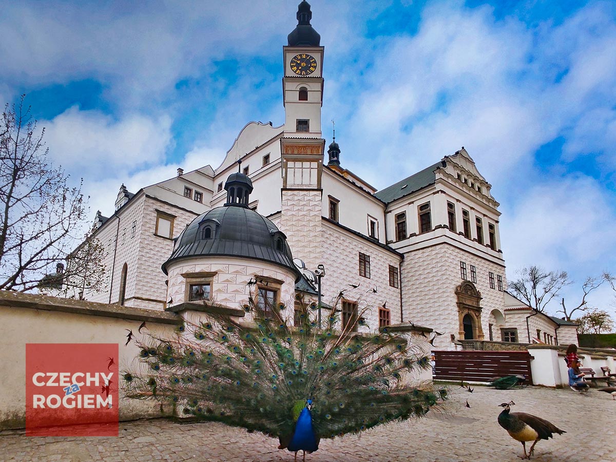 Zamek w Pardubicach. Jak feniks z popiołów